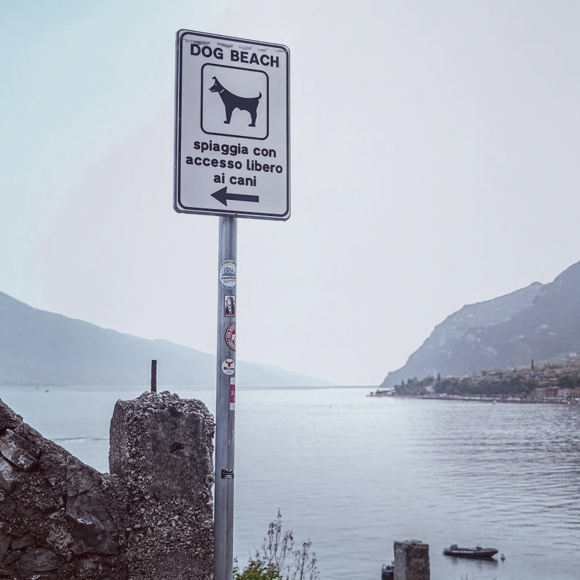 🍋 Limone sul Garda: Unser Kurztrip an den Gardasee mit Hund 