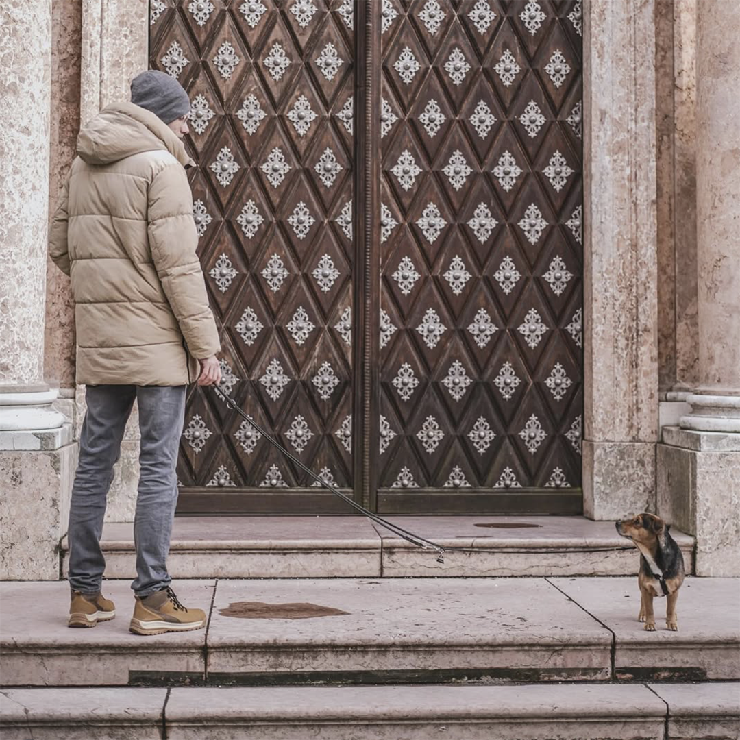 Dann fahren wir halt nach Passau: Vagner Tagesausflug mit Hund